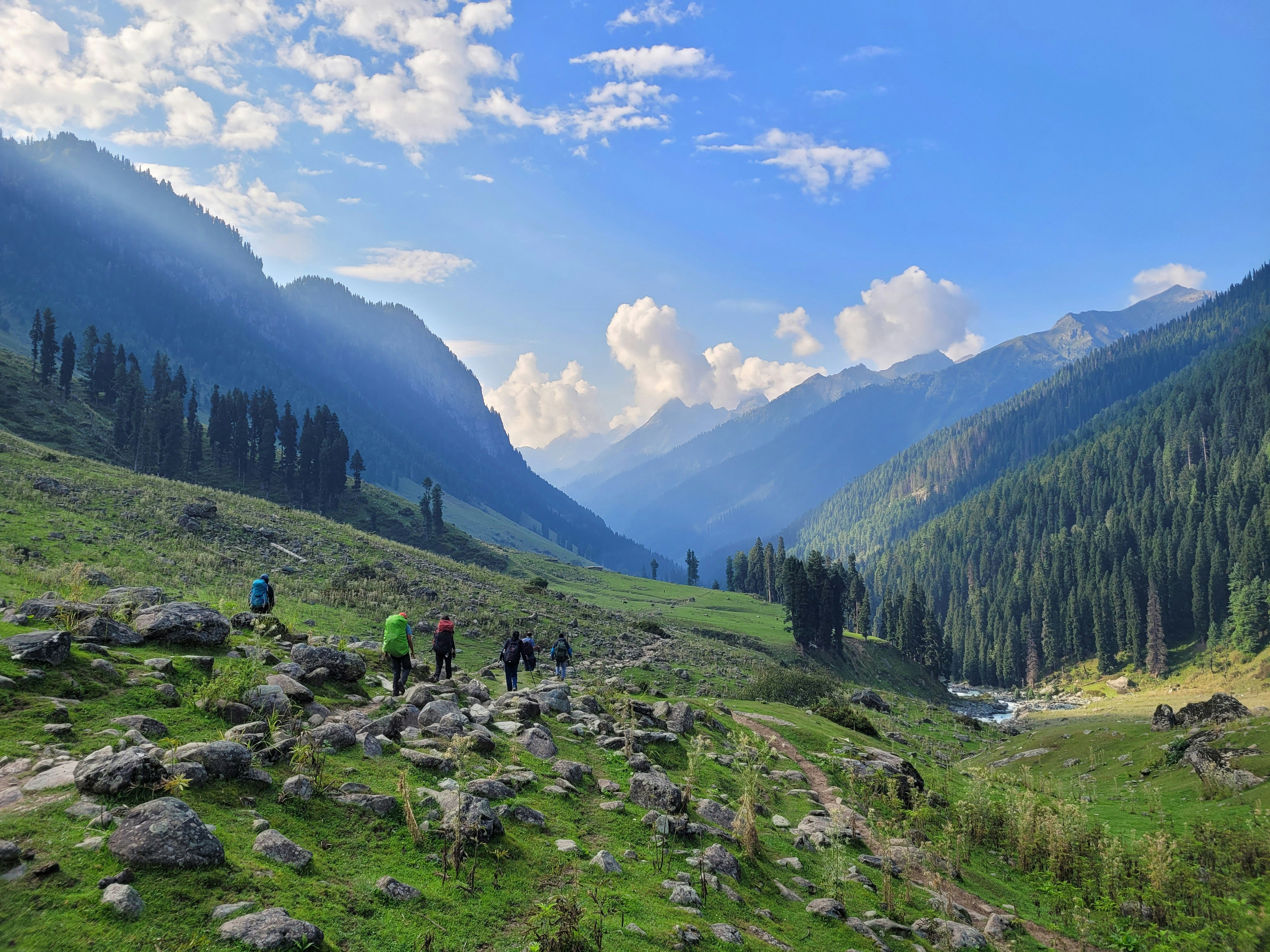 Express Combo Package