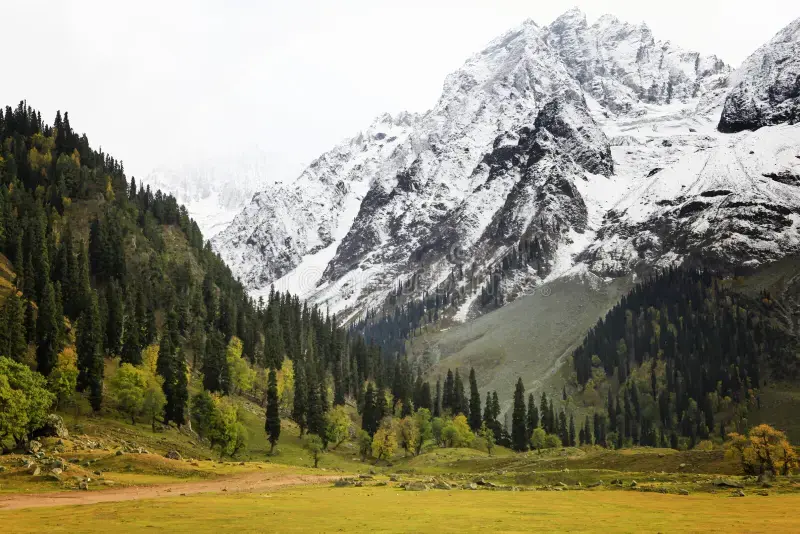 Offbeat Gurez Valley Hidden Paradise Tour - Travel Nerve Kashmir
