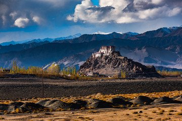 Turquoise Pangong Tso Lake Ladakh Tour - Travel Nerve Kashmir
