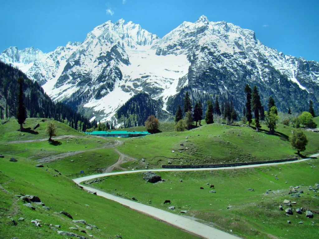4 Nights 5 Days Kashmir Tour Package Tour Package Travel Nerve Kashmir