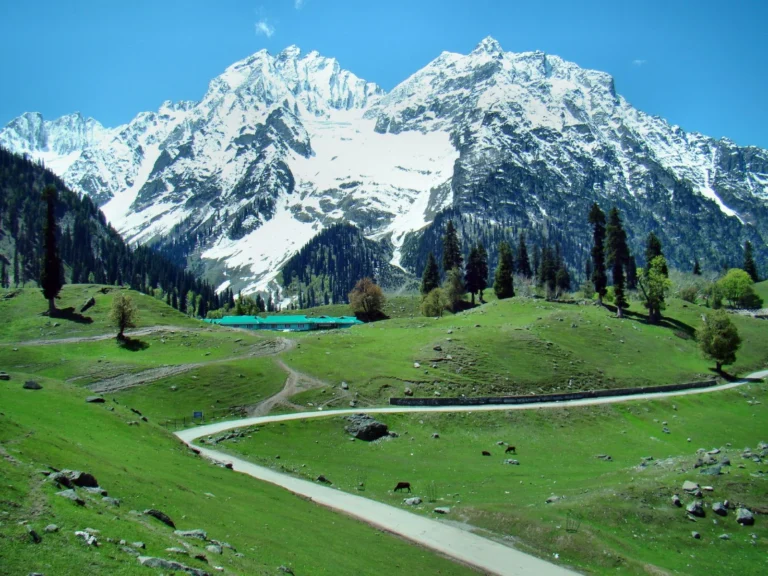 How to plan a winter ski trip to Gulmarg Kashmir — skier on Apharwat Peak slopes