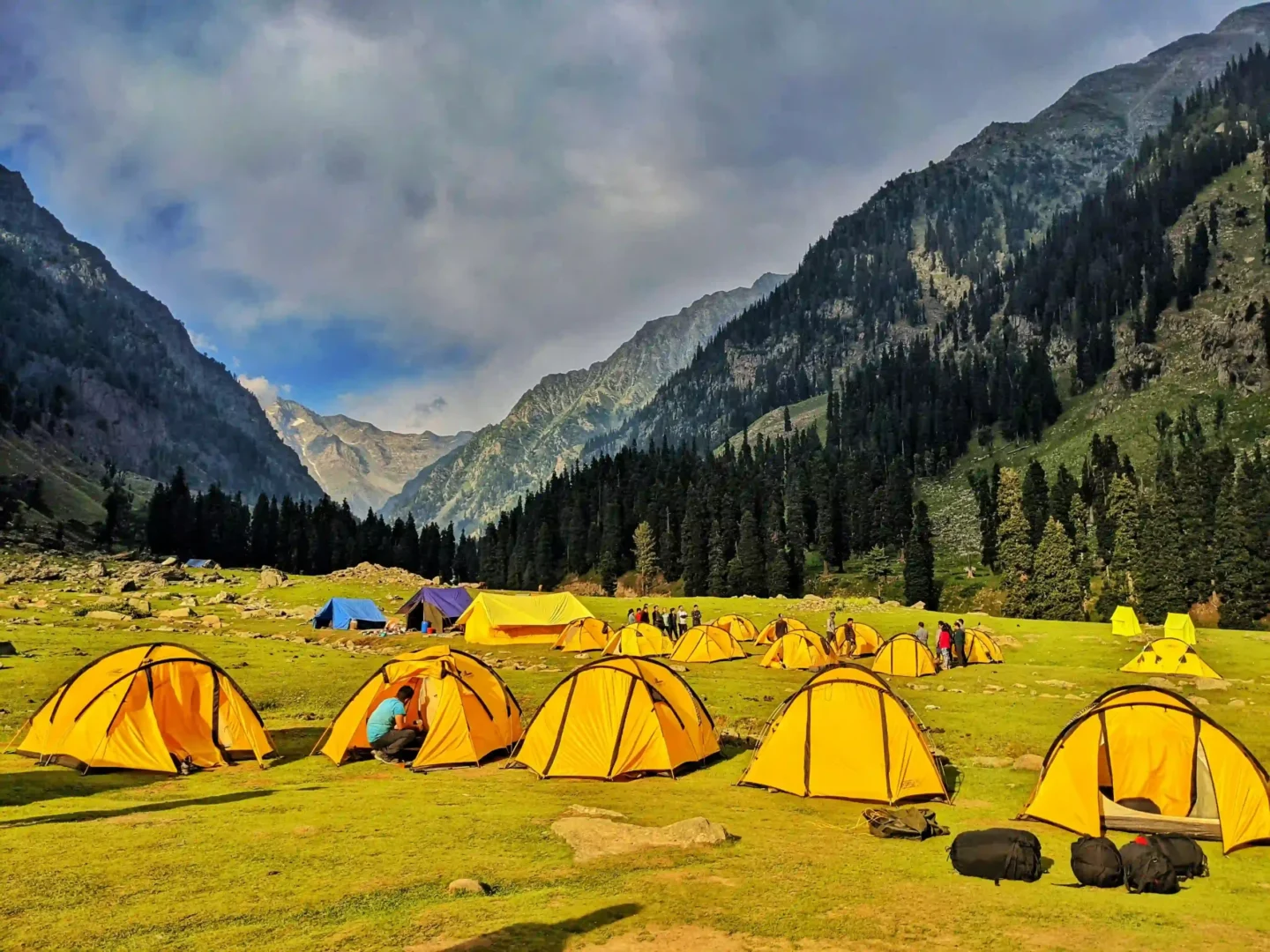 Local Tour Operator in Srinagar: 4 Things That Actually Matter (2026)