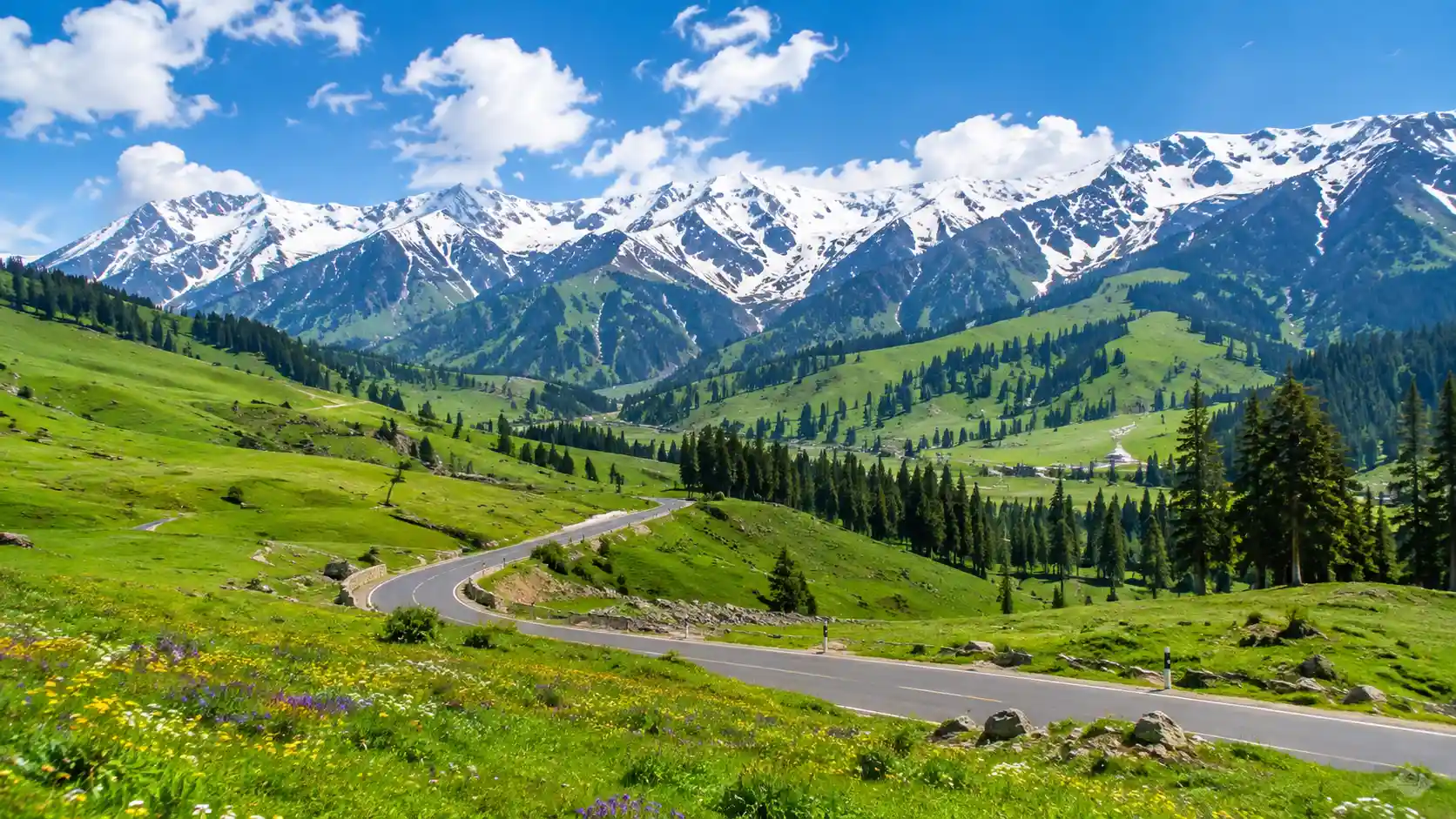 Gulmarg Kashmir: Complete Travel Guide (2026) Tourism Kashmir