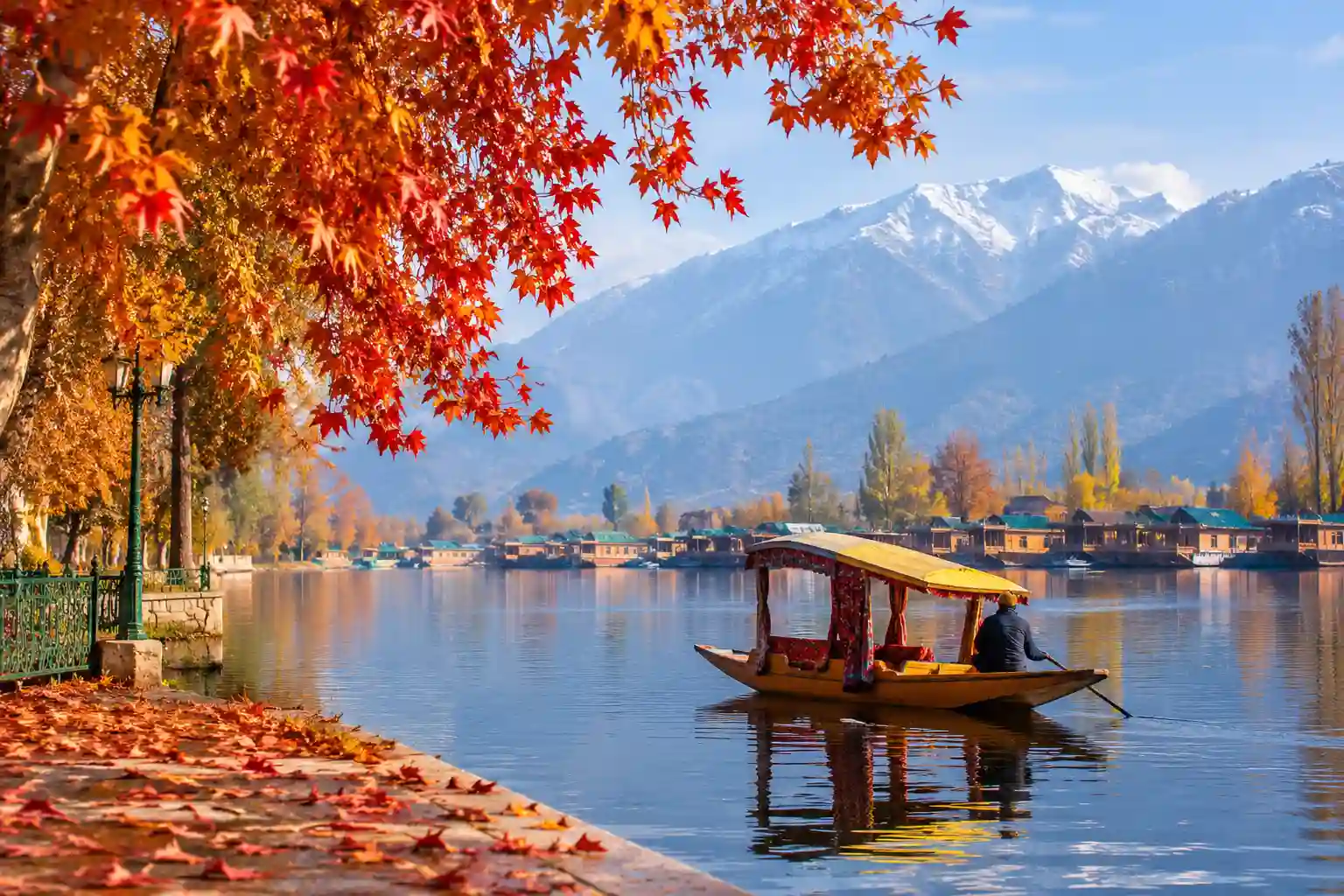 Kashmir in November: Chinar, Saffron and First Snow
